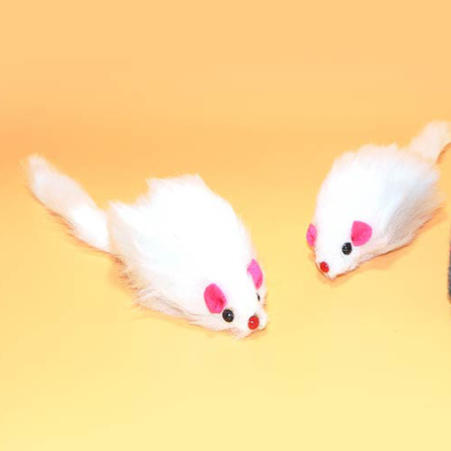 Mouse Squeaky Toy
