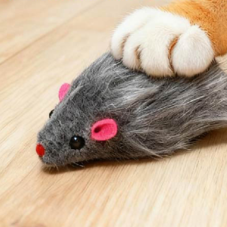 Mouse Squeaky Toy