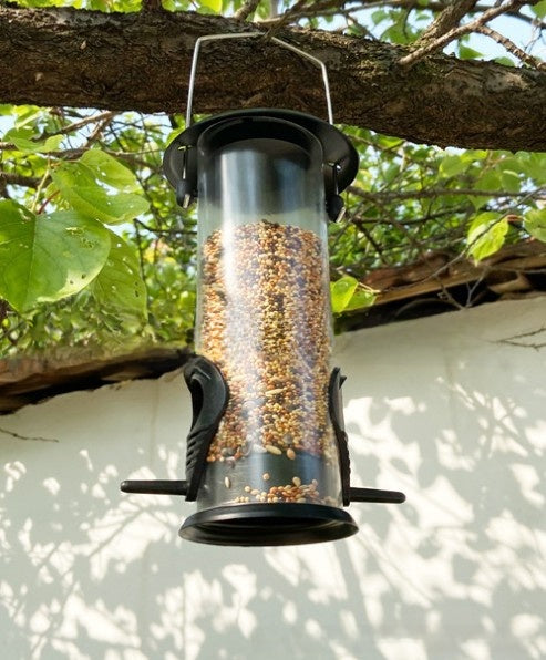 LayZ Automatic Bird Feeder