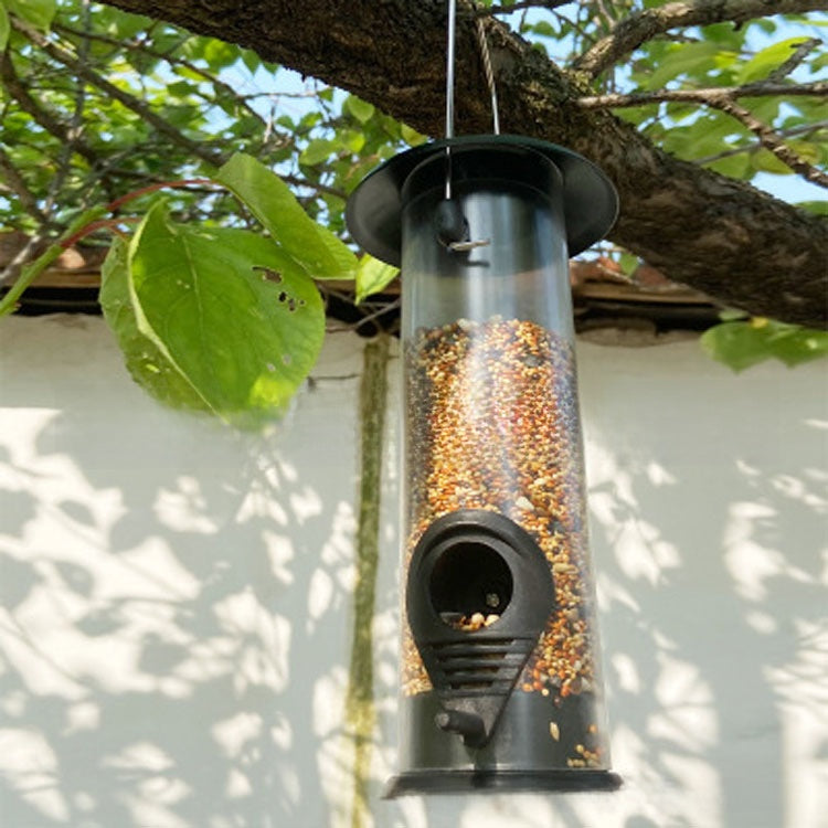 LayZ Automatic Bird Feeder